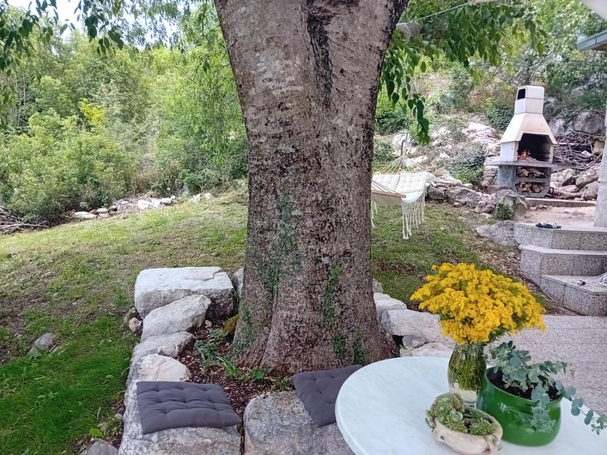 Holiday Home Mimara Korusce Buitenkant foto